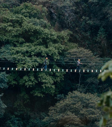 Zipline + Puente Tibetano